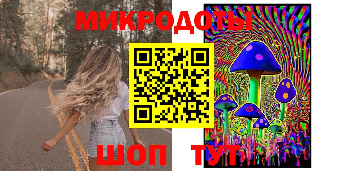 Псилоцибиновые грибы Psilocybe  Псилоцибиновые грибы мицелий  Вход с VPN  Павлово 